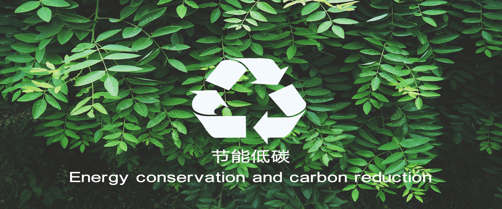豪运国际-追求康健,你我一起生长